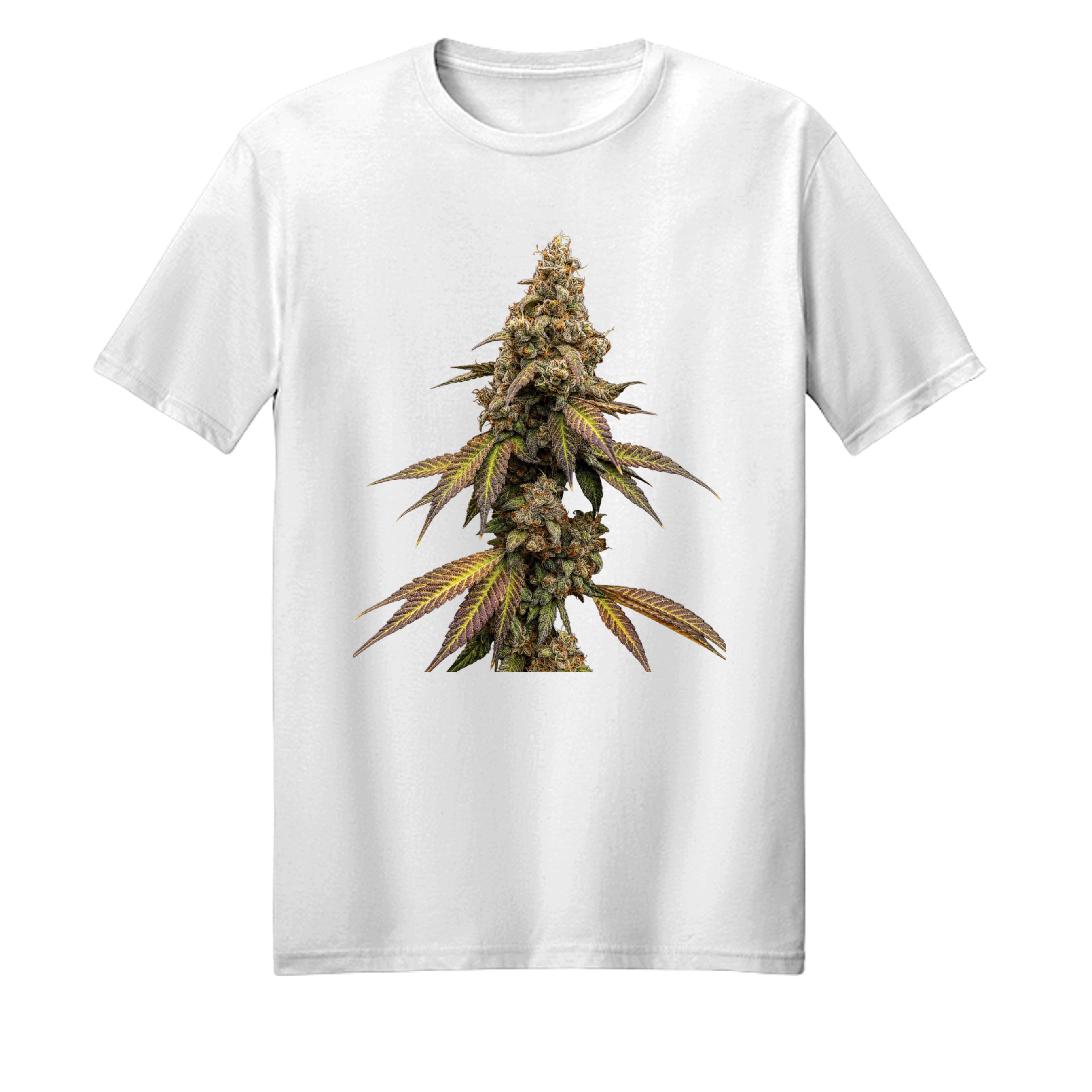 WHITE - 3000 - FRONT